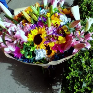 Ramo Primavera