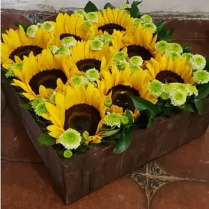 Estuche de Monerias