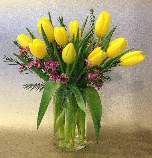 Tulipanes