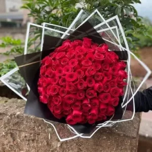 Ramo Supreme Red