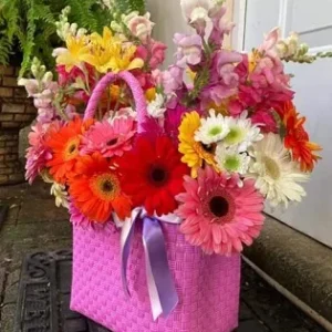 Bolsa YVY