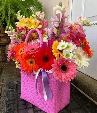 Gerberas