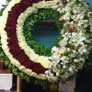 Corona Sentimientos
