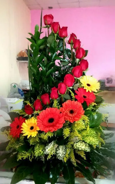 Rosas