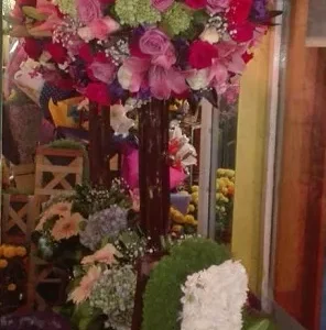 Yarda Primavera
