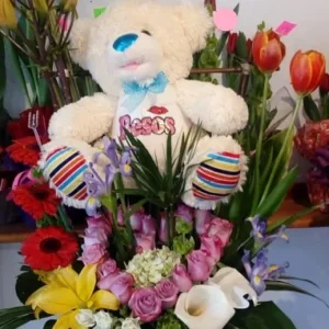 Teddy Land Junior