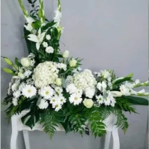 Pavoreal