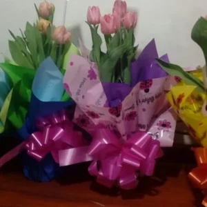 Tulipanes en Maceta