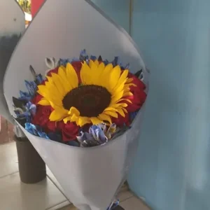 Ramo Malasya