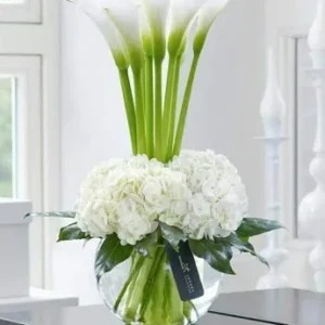 Añoranza