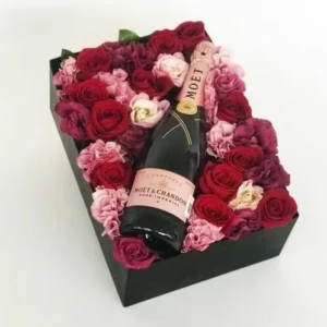 Moet