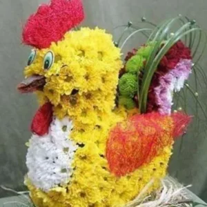Gallinita