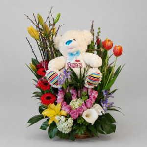 Teddy Land Junior