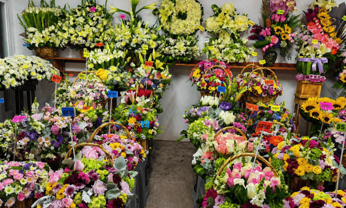 Fondo de la florería Morales